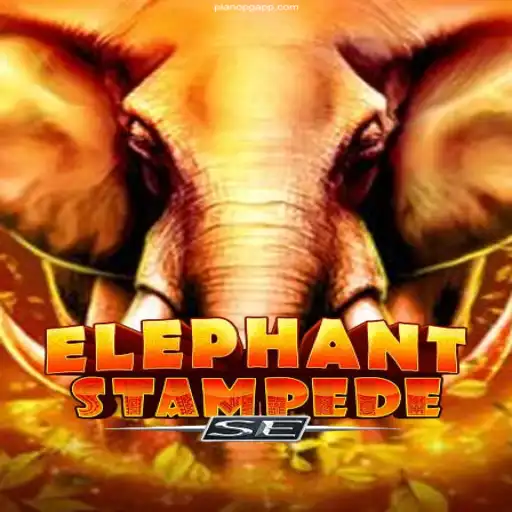 An In-Depth Look at ElephantStampedeSE