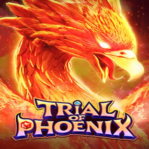 Trial of Phoenix: A New Adventure Awaits at PlanoPG.com